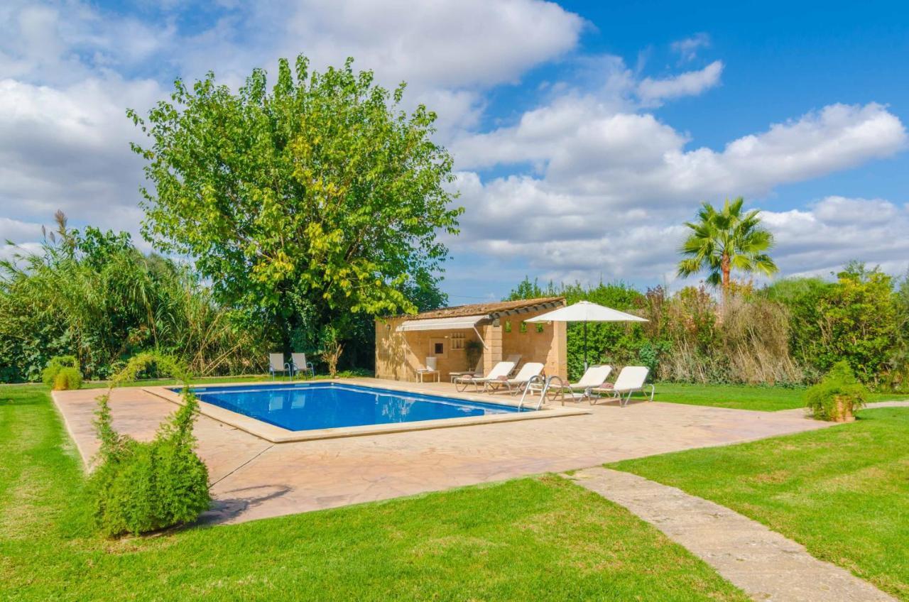 S'era Nova Algaida (Mallorca)